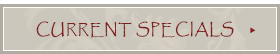 medical spa specials